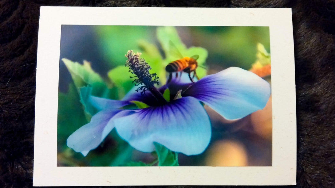 The Landing Bee Card Greeting Cards/Prints- HRH Studio Boutique