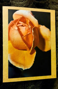 The Rose Bud Card Greeting Cards/Prints- HRH Studio Boutique