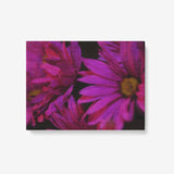 Romance Daisy - 1 Piece Canvas Wall Art for Living Room - Framed Ready to Hang 24"x18"