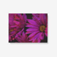 Romance Daisy - 1 Piece Canvas Wall Art for Living Room - Framed Ready to Hang 24