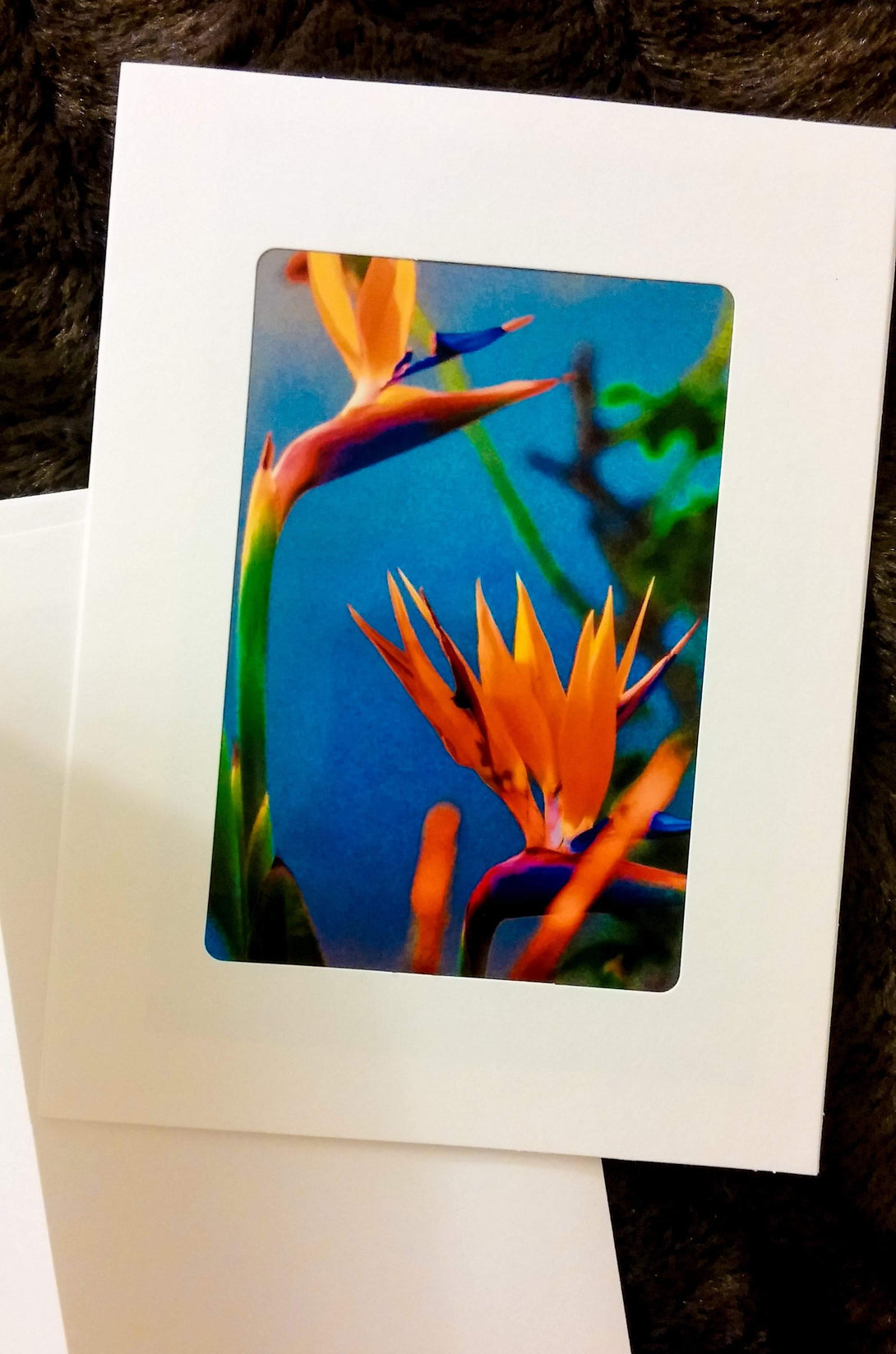Bird of Paradise Blue Card Greeting Cards/Prints- HRH Studio Boutique