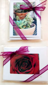 Card Gift SET - 5 Cards & Envelopes Greeting Cards/Prints- HRH Studio Boutique