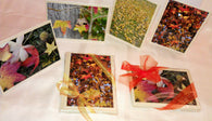 Fall Cards Gift Set Greeting Cards/Prints- HRH Studio Boutique