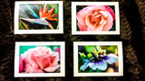 Greeting Cards - Photo Custom Cards Greeting Cards/Prints- HRH Studio Boutique