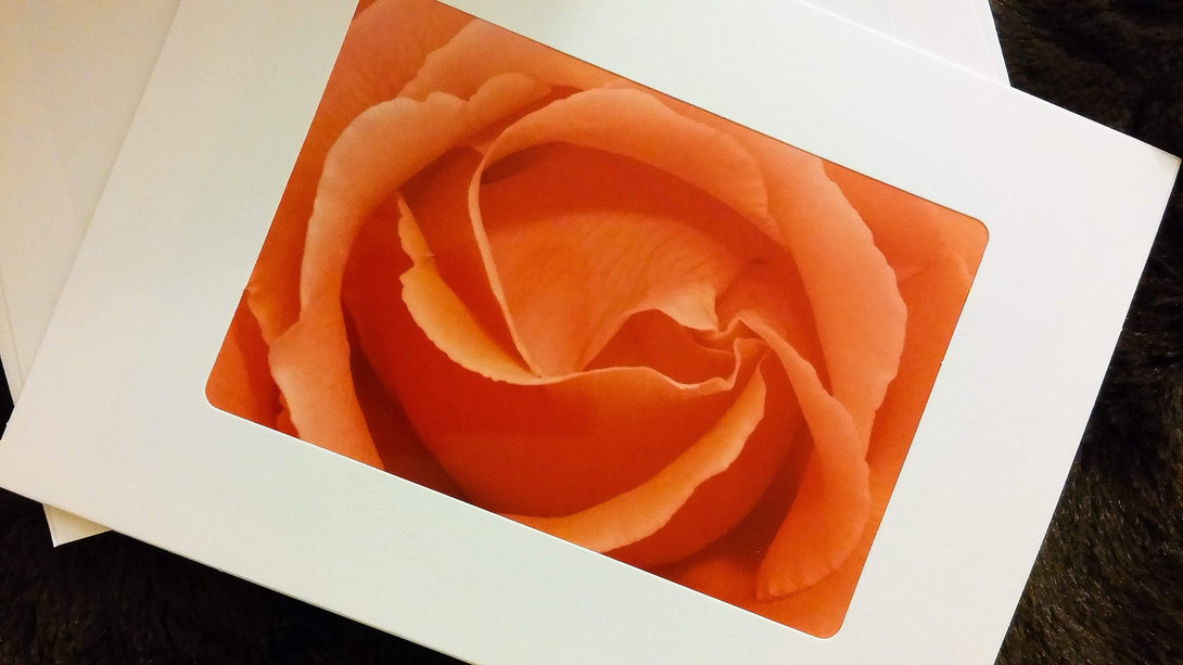 Peach Rose Card Greeting Cards/Prints- HRH Studio Boutique