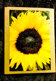 Sunflower Card Greeting Cards/Prints- HRH Studio Boutique