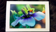 The Landing Bee Card Greeting Cards/Prints- HRH Studio Boutique