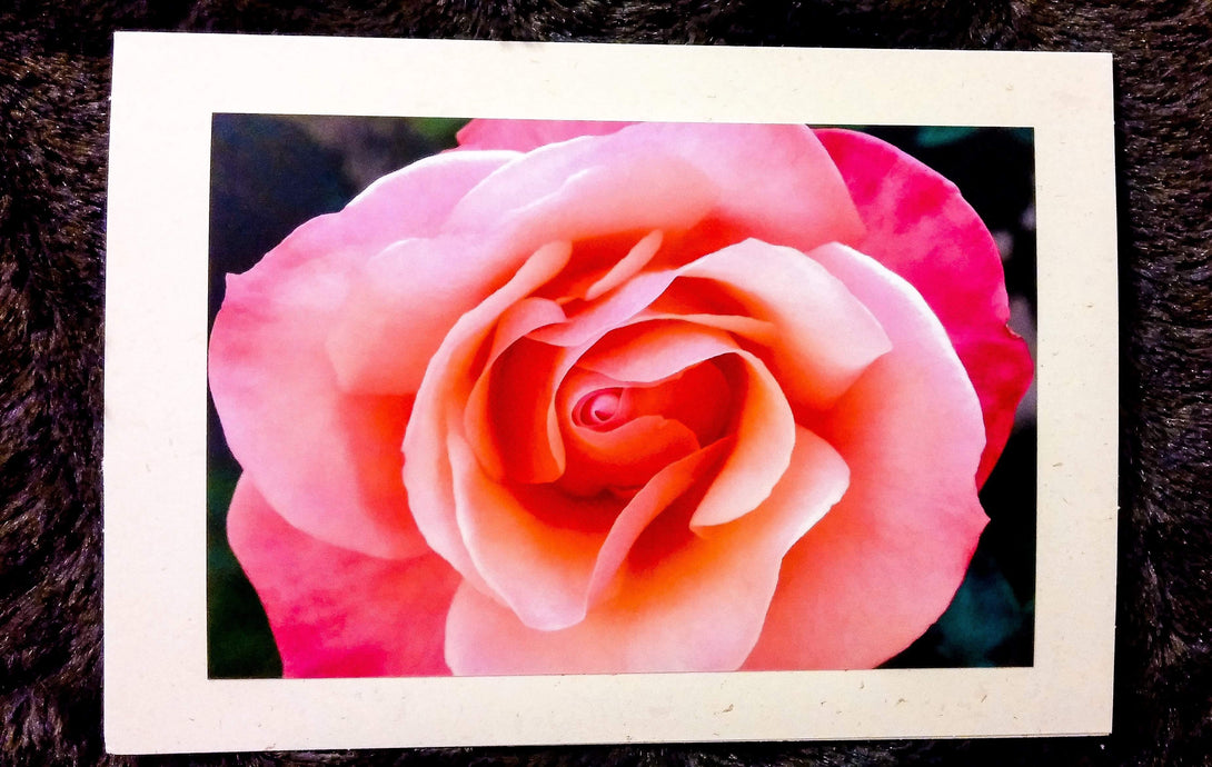 The ROSE Card Greeting Cards/Prints- HRH Studio Boutique