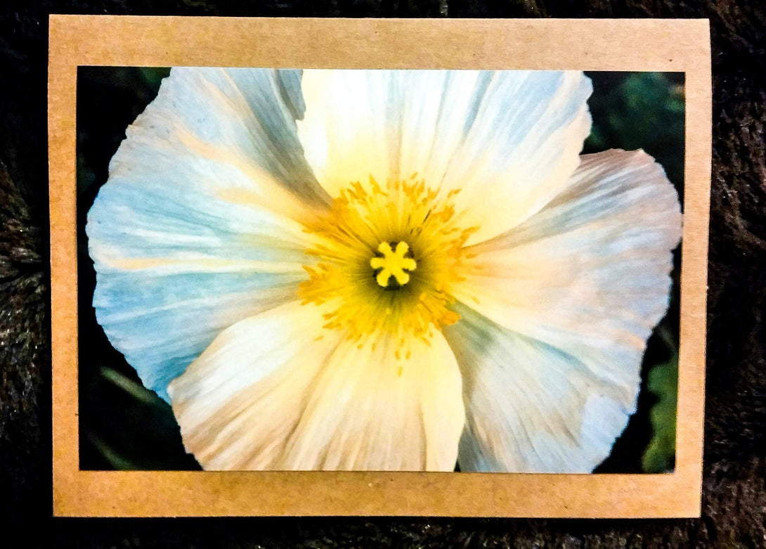 White Poppy Card Greeting Cards/Prints- HRH Studio Boutique