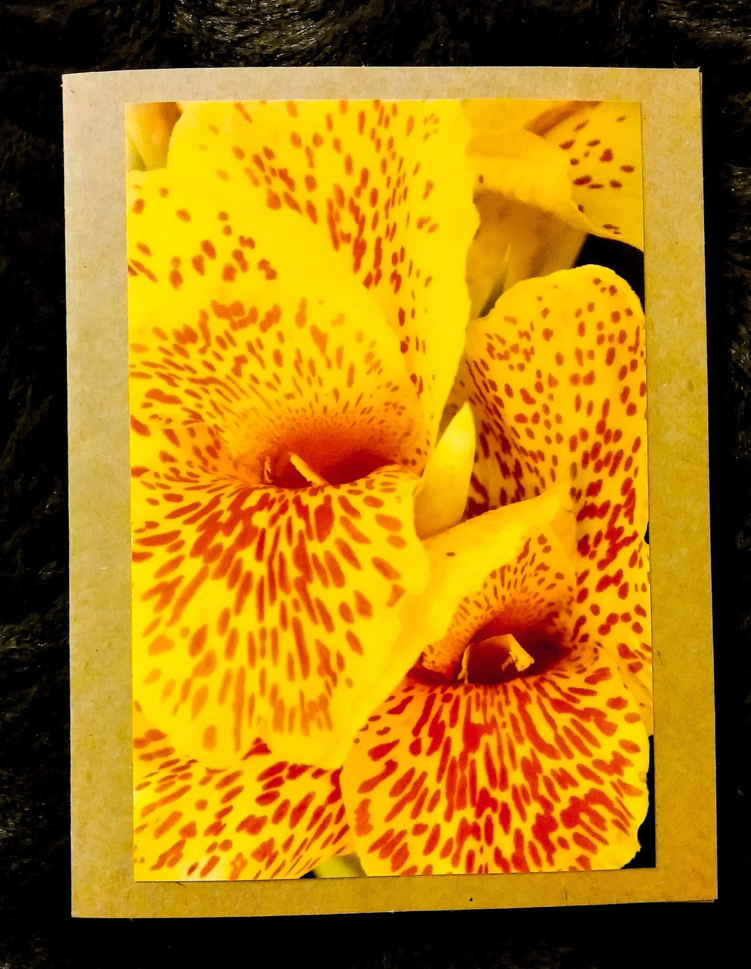 Yellow Snapdragon Card Greeting Cards/Prints- HRH Studio Boutique